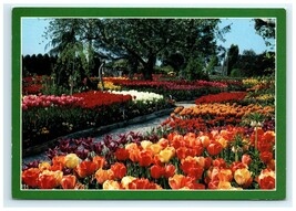 Skagit Valley Tulip Fields Mt Vernon WA Gardens Blooms Flowers Postcard - $5.95