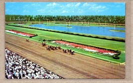 Horse Racing at Hialeah Race Course Florida Thrilling Race Postcard - £7.87 GBP