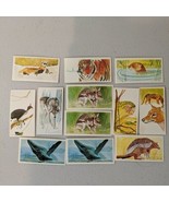 Like cigarette Tobacco cards Brooke Bond Tea Vanishing Wildlife 1978 Lot... - $9.89