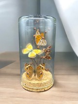 Vintage Preserved Butterfly Taxidermy Glass Cork 1973 6.25&quot; - $39.60