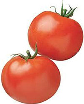 Grow 100 Tomato Seeds Rutger’S Heirloom Tomato Fresh Garden Vegetable - $9.11