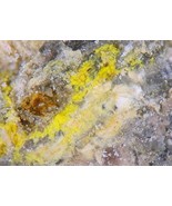 SHUMWAYITE - Rare Uranium - Green Lizard Mine, Red Canyon, UTAH - €210,71 EUR