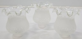 3 Replacement Frosted Clear Glass Tulip Petal Vine Fixture Lamp Shades 1... - £19.45 GBP