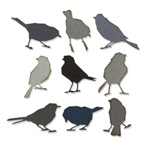 Sizzix Thinlits Dies By Tim Holtz 9 Per Pkg Silhouette Birds - $29.56