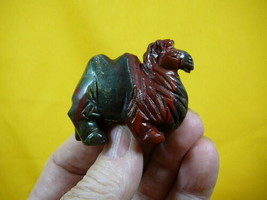 (Y-CAM-700) CAMEL camels RED BLACK gem stone gemstone carving zoo - $17.53