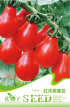 1 Packs 20 Seeds Red Pear Cherry Tomato Edible Tomatoes #C091 Fresh Gardening US - $8.97