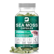 120 Pills Organic Sea Moss Capsules, Irish Sea Moss, bladderwrack &amp; Burdock Root - £27.16 GBP