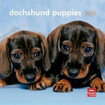Dachshund Puppies 2013 7X7 Mini Wall Calendar - $10.88