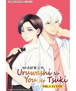 Uruwashi no Yoi no Tsuki Vol. 1-12 End ENGLISH DUB &amp; SUB Region 0 Anime DVD - $29.69