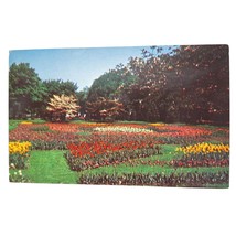 Postcard Sunken Garden Erie Cemetery Erie Pennsylvania Tulips Chrome Unposted - £5.52 GBP