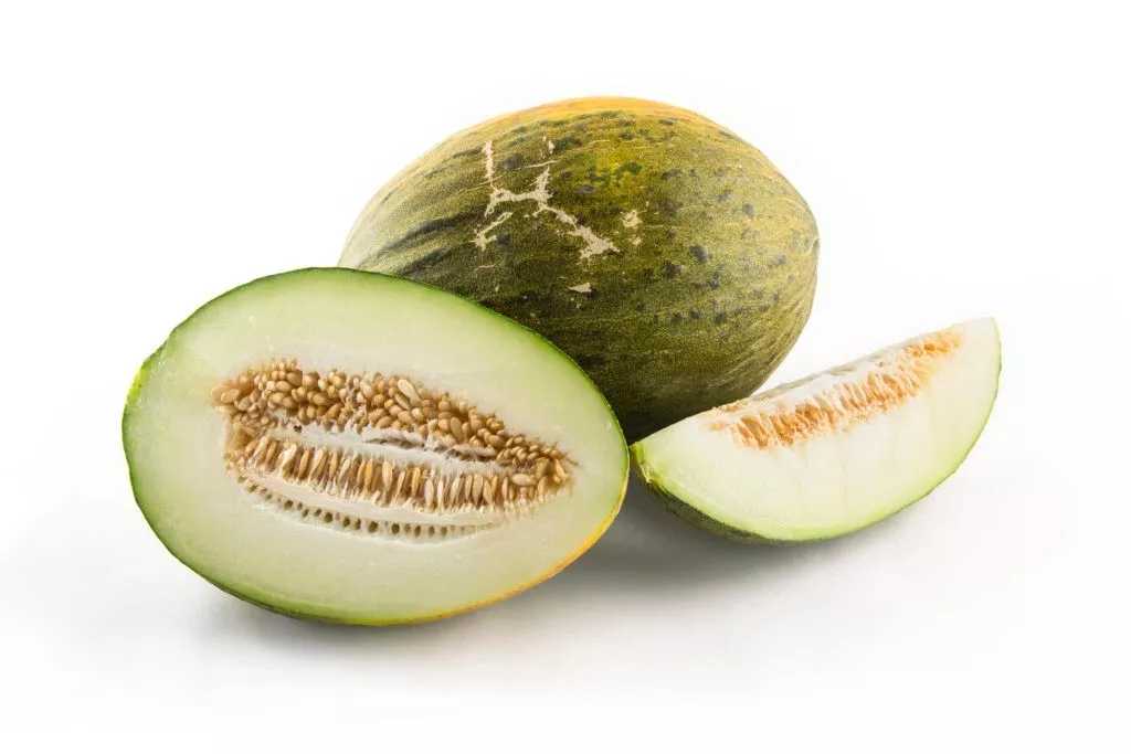 15 Seeds Santa Claus Melon Garden Fruit Summer Fresh USA Fast Shipping - £13.09 GBP