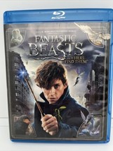 Fantastic Beasts And Where To Find Them (2016) [Blu-ray] DVD, Ezra Miller - £4.40 GBP