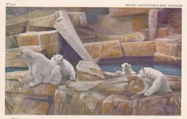 Bears Brookfield Zoo Chicago Illinois IL Barless Postcard D07 - £2.39 GBP