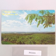 50 Mile View Mt Pocahontas Inc Poconos Albrightsville PA 1960s Postcard - $146.84 MXN