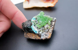 Item image 12