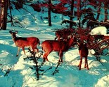 Deer on the Alert Generic Greetings From Dupont PA Chrome Postcard UNP U... - $3.91