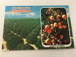 Vintage Postcard Posted Greetings From Florida FL Oranges And Trees - £0.74 GBP
