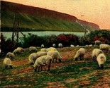 Sheep Raising In Eastern Oregon OR Columbia Gorge Vtg 1911 Vtg Postcard ... - $3.91