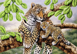 Framed Canvas Print Painting Leopard Tiger Jaguar Cats Cubs Jungle Wild Animals - £31.81 GBP+