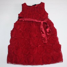 Baby Gap Photo Op Rosette Tulle Rose Garden Party Dress size 4 NWT - $54.99
