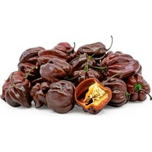 20 Chocolate Habanero Pepper Seeds ~ 2024 ~ Heirloomseedguy ~  From US  - $8.35