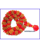 9 Mukhi Rudraksh Kantha / Durga Shakti NavDurga mala - 33 beads - Nepal - $2,465.08