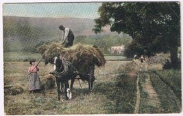 United Kingdom UK Scotland Postcard Hay Harvest Pitchfork 1904 - £3.11 GBP
