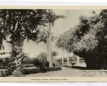 Botanical Gardens Photo Postcard Montserrat British West Indies 1930&#39;s - $17.82