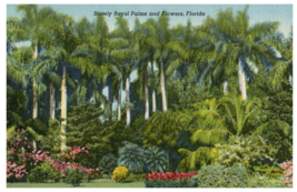 Sunken Gardens St Petersburg Florida Postcard - £5.28 GBP