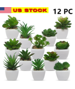 12 Mini Assorted Green Artificial Succulent Plant Faux Potted in Ceramic... - €25,51 EUR 12 Mini Assorted Green Artificial Succulent Plant Faux Potted in Ceramic... - €25,51 EUR