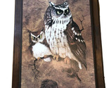 Retro, Vintage &quot;Screech Owl&quot; Wood Picture Print Wall Art MCM by Richard ... - $23.33