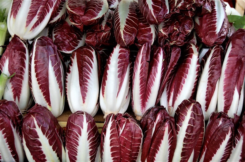 1000 Red Treviso Endive Seeds - Non-GMO Heirloom, Crisp &amp; Tart - $5.94