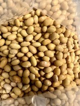 Ripkitty Peruvian Canary Mayocoba Beans Seeds Organic Natural FREE S/H! - £6.98 GBP+
