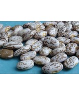 Cinco&#39;s Pinto Bean - wonderful taste of the Southwest - $106.42 MXN