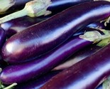 Long Purple Eggplant Seeds 100 Vegetable Garden Culinary Cooking Fast Sh... - $8.99
