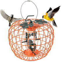 Squirrel-Proof Pumpkin Bird Feeder with Cage and 4 Metal Ports - £67.98 GBP