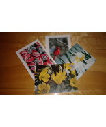 Winter Naturals Lot of 4 Postcards.New with poetic messages - £4.69 GBP