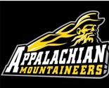 Appalachian State Mountaineers Logo Hand Flag 3x5ft - £12.76 GBP