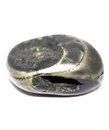 Rare Golden Trivikrama Shaligram  - Gandaki River Nepal - $321.75
