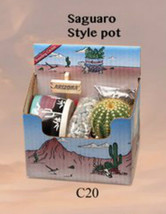 BARREL Cactus Gift Box Arizona Grown Plant Southwest Gift Ready To Grow 3&quot; Pot - £22.46 GBP