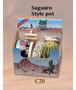 BARREL Cactus Gift Box Arizona Grown Plant Southwest Gift Ready To Grow ... - $36.13