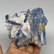 458.2g, 4.1&quot;x4.1&quot;x1.3&quot;,Blue Kyanite Quartz  Mineral Specimen @Brazil, B32873 - £71.32 GBP