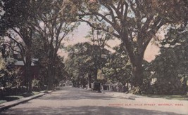Beverly Massachusetts MA Historic Elm Hale Street Postcard C26 - £2.35 GBP