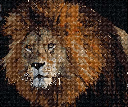 Pepita Needlepoint kit: Lion Up Close, 12&quot; x 10&quot; - $86.00+