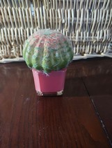 Pink Pier 1 Cactus - £18.14 GBP