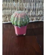 Pink Pier 1 Cactus - £17.82 GBP