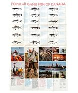 Game Fish Of Canada Poster 1960s-80s Double Sided Fishing Landscape 22x3... - $551.77 MXN