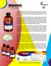 Amprozeal Neurological Disorder Economy Pack (3 bottles120 ml) image 3