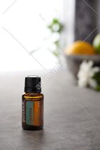 doTERRA Cypress 15 mL Essetial Oil  NEW &amp; SEALED Exp 05/29 - $15.99