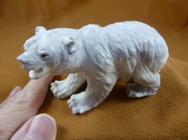 bear-w92 polar Grizzly bear of shed ANTLER figurine Bali detailed carvin... - $253.15